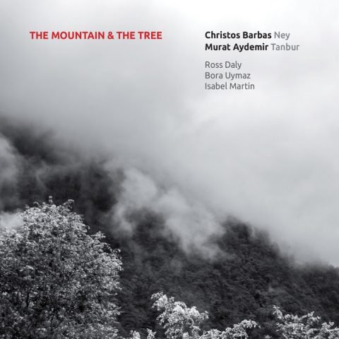 The Mountain & The Tree