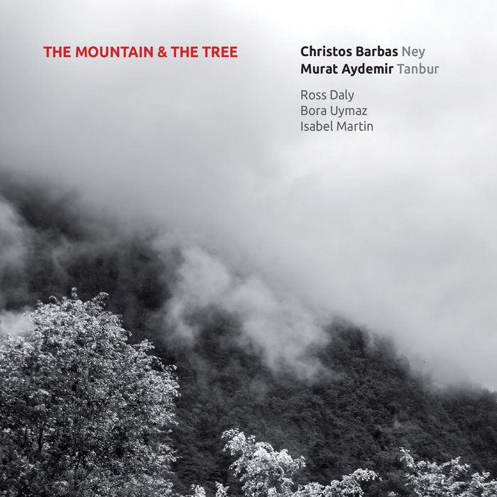 The Mountain & The Tree